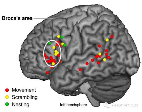 7836035593612607.jpg 3.pic.jpg